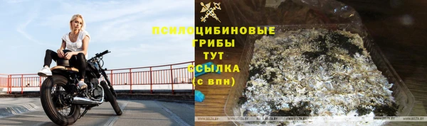 соль ск Белокуриха