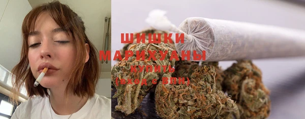 стафф Беломорск
