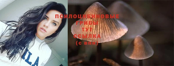 мяу мяу мука Туринск
