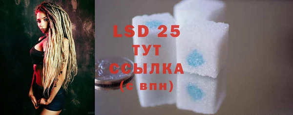 соль ск Белокуриха