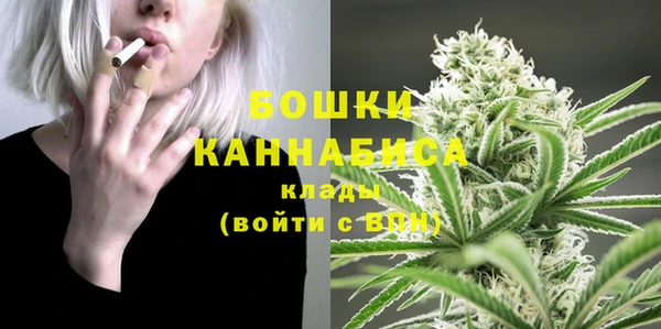 соль ск Белокуриха