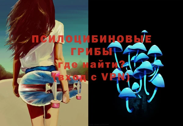 соль ск Белокуриха