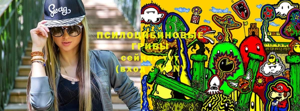 стафф Беломорск