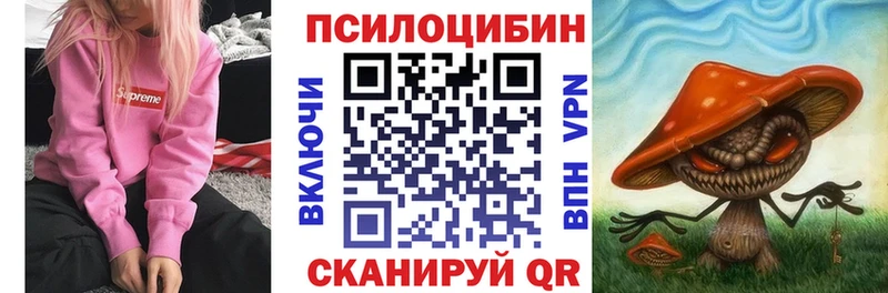 Псилоцибиновые грибы мицелий  Бородино 